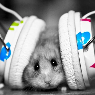 MariiEmil's profile picture. 