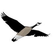 nxew.ca (@nxew) 's Twitter Profile