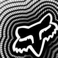 FoxThony's profile picture. 