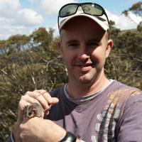 Andrew Weeks (@andrewrweeks) 's Twitter Profile