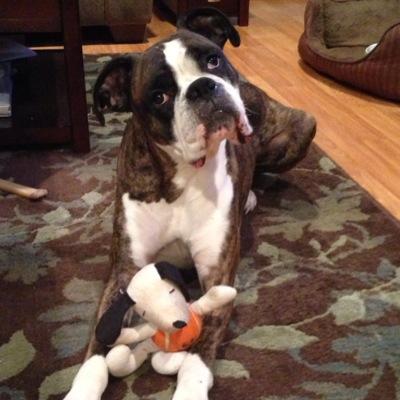 Maura_Murph's profile picture. 