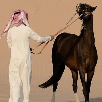 هجرت لك ناس تحبك وتغليك وحبيت
لك ناس يضرك سهمها
اقولك كلمه عساها تصحيك فيه ناسن
تحبك مير قلبك ظلمها !
الله حسيبككء /3.