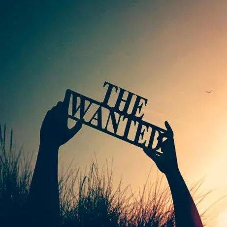 the wanted my life