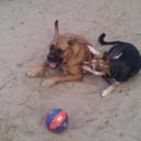 Angela Munson - @notokohiro - Twitter