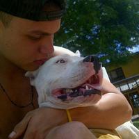 'Mono solarte (@monosolartee) 's Twitter Profile