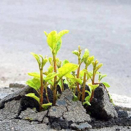 Zohreh1234's profile picture. 