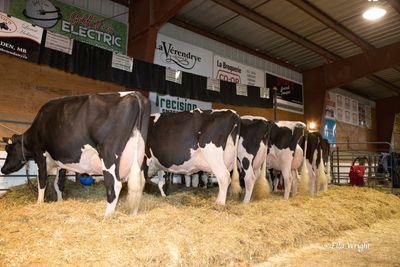 adf84ef07d2c404's profile picture. 