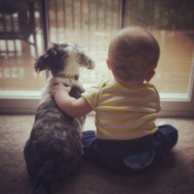 cmgordon4's profile picture. Smile and laugh alert!! The journey of a pup and her crazy kids!