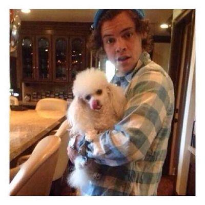 potatoeharry's profile picture. 