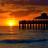 FortMyers272's profile image