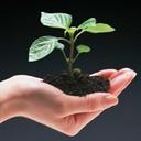 Edward Cui - @cyk530917 - Twitter