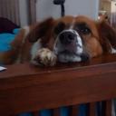 Jan Buckley - @jannylyn52 - Twitter