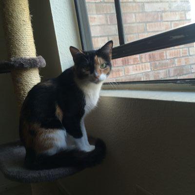 govbiz1970's profile picture. 