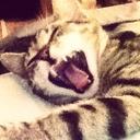 Whitney Yarbrough - @Whitmichelle3 - Twitter