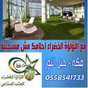 اللؤلؤه الخضراء (@22zykoe) Twitter