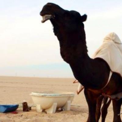 المعروف لا يُعَـرّف