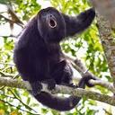 Bobby McAlister - @BobbyMcAlister - Twitter