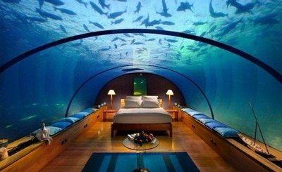 PrinceNanu3's profile picture. 