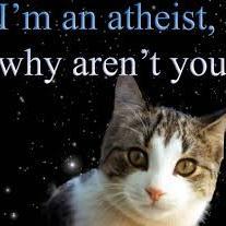 AtheistKatWoman's profile picture. Visit my purrrfect Tumblr and help spread atheism - http://t.co/2163QuMP8K