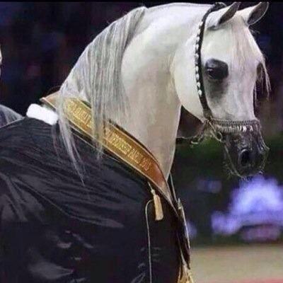 dalalmuneera782's profile picture. ‏♥♥ سًبّحًانٌ الَلَهِ وِبّحًمِدُهِ سًبّحًانٌ الَلَهِ الَعَظٌيّمِ ♥                      تابعوني على حسابي اثاني