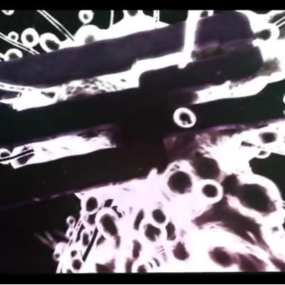 GilFlores10's profile picture. Trickshotter. IG: imDwyz YT: Mulk Dwyz Back up twitter: Dewyy_nV i fallow all my fallowers