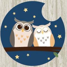 ふくろうの里 Owl Villageさんのプロフィール画像