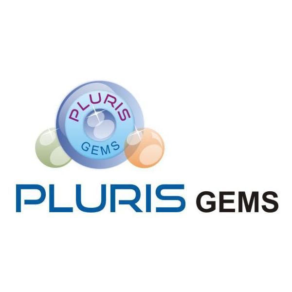 Pluris Gems will be one of the world’s largest diamond manufacturers in few years, due as much to our integrity as to the exceptional quality of our product.
