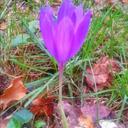 Andy Cabello - @andycabello66 - Twitter