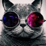 Cuenta con frases del GatoSabio para sentirnos más livianos. Todo lo que escribo viene de mí, y de lo que me dicta el universo. NO BUSCO IMPONER VERDADES.