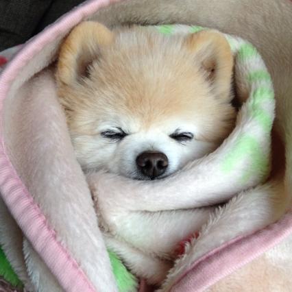 busyqueens's profile picture. 