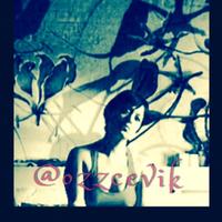 özgeyılmazçevik (@ozzcevik) 's Twitter Profile