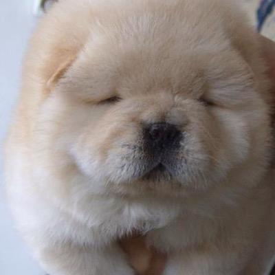 なんか一言発言します❤️
相互フォローオッケーです！