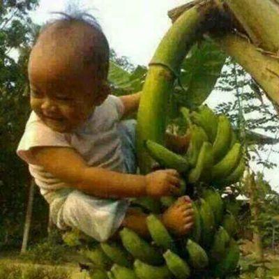 PaPujiastuti12's profile picture. 