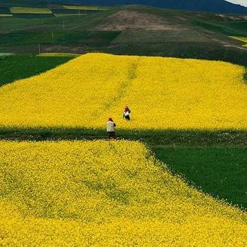 anhdepne's profile picture. 