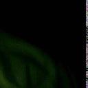 wyatt willard - @wyatt_willard - Twitter