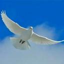 Aymutlu (@1971Aymutlu) Twitter