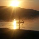 Martin Woolf - @WoolfMartin - Twitter