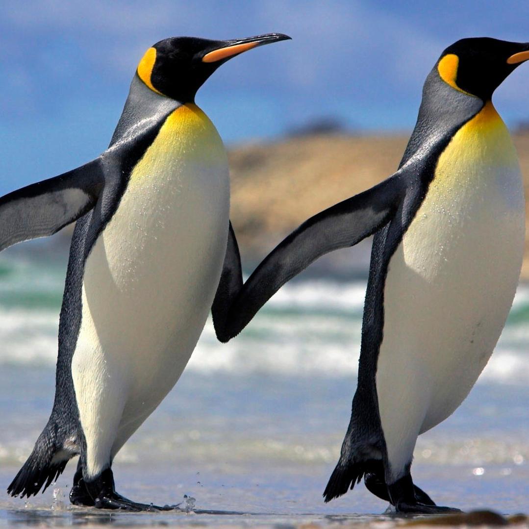 MARKETING EXECUTIVE CCTV CAMERA LTD:ENJOY NATURE  AND LIKE RACING THE FASTEST;WE ARE WATCHING YOU;