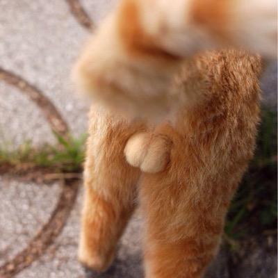 rxboombooom's profile picture. 