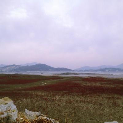 라온제나