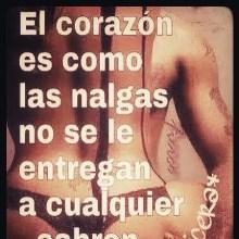 Bertrand_3844's profile picture. 