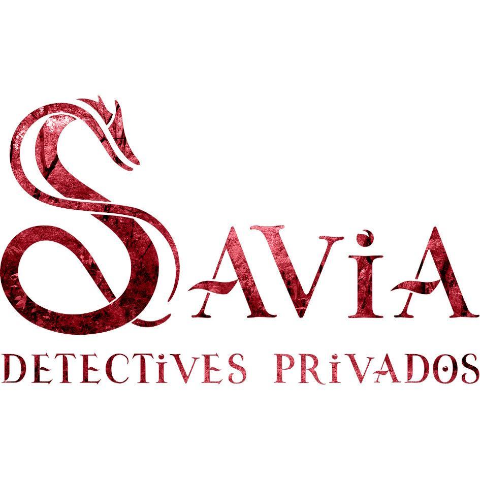 Detectives Privados especialistas en investigación empresarial. Expertos en lucha contra el fraude. 923218789