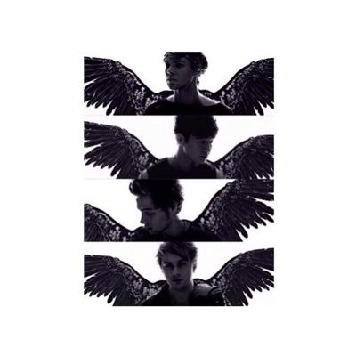 readbioNOW5SOS's profile picture. follow @dailyx5sosDMS for daily dms to the 5SOS Band acc! Turn on notifs bc she does a lot of dms!