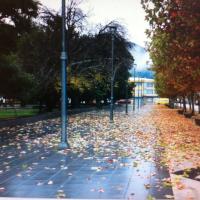 Josevictor (@jvmadrid43) 's Twitter Profile Photo