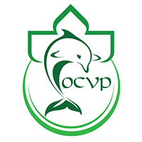 OCVP (@tobservatory) Twitter profile photo