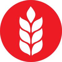 Heathfield Academy (@heathfieldacad) 's Twitter Profile Photo