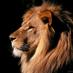 Patel خضر (@khizar_p) Twitter profile photo Patel خضر (@khizar_p) Twitter profile photo