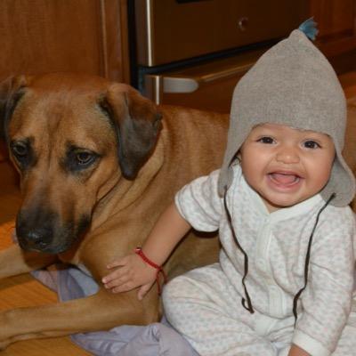 harryjperez's profile picture. 