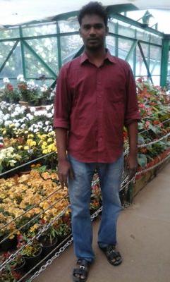 pulsar dhilip