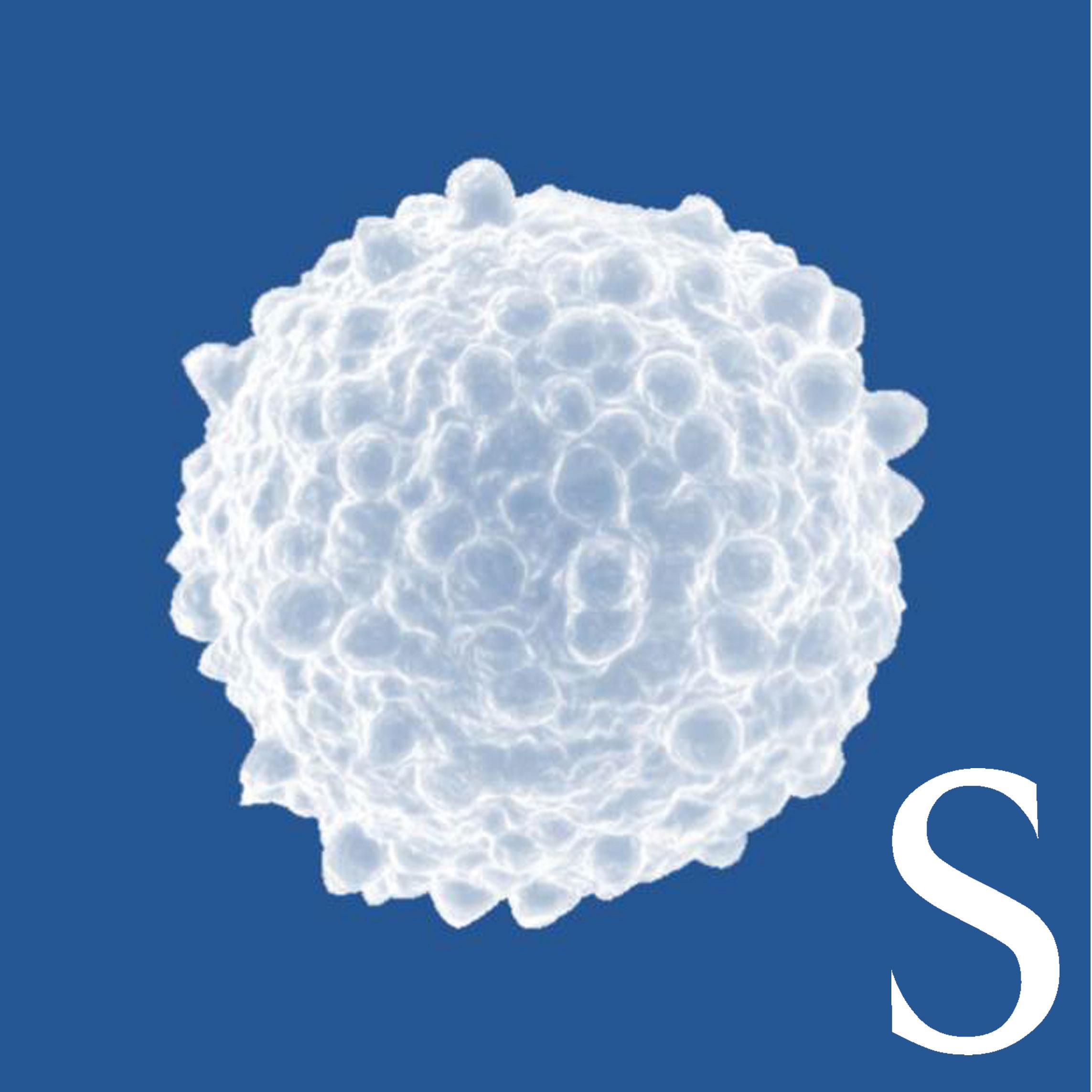 The University of Southampton is building on over 40 years of research excellence, harnessing the power of your immune system in the fight against cancer.